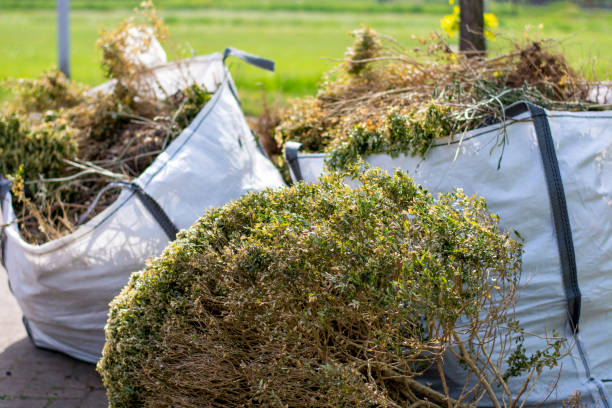 Best Junk Removal and Recycling  in Albion, IN